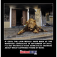 Illustration for article titled Six Memes That I Swear Curt Schilling Shared To His Facebook Page